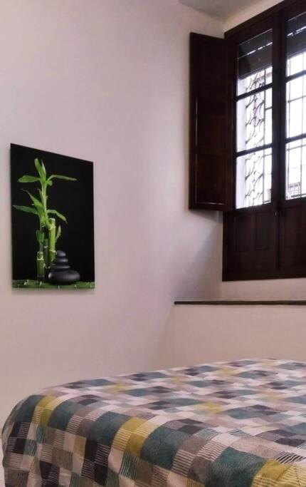 Apartamento Disfruta De La Historica Córdoba Exterior foto